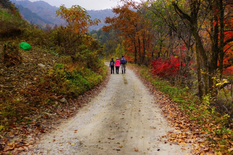 Adventure Travel for Sustainable Eco-Tourism Certification Programs: Training Tour Operators and Guides in Responsible Tourism Practices